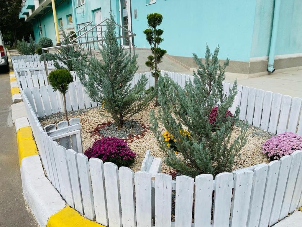 Maria Summer Apartaments Mamaia Εξωτερικό φωτογραφία